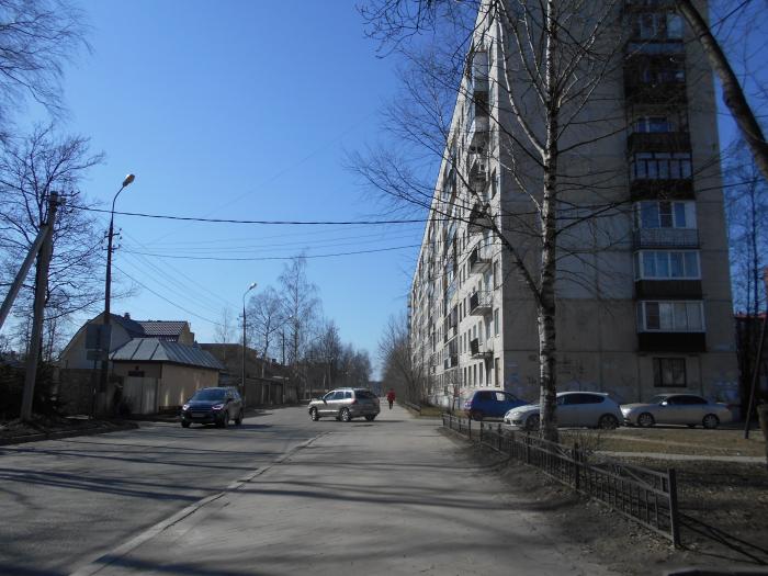 Всеволожск Ул Плоткина 19