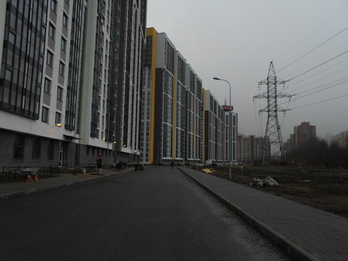 санкт-петербург улица лидии зверевой 9к1. санкт-петербург ул лидии зверевой 3к3. лидии зверевой. улица лидии зверевой 3к1. улица лидии зверевой спб.