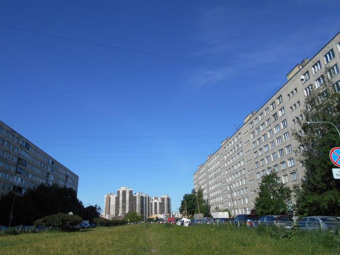 пловдивская улица дом 9. пловдивская 3 к 1. санкт петербург пловдивская улица, 3к2. санкт-петербург ул купчинская. пловдивская 1/10.