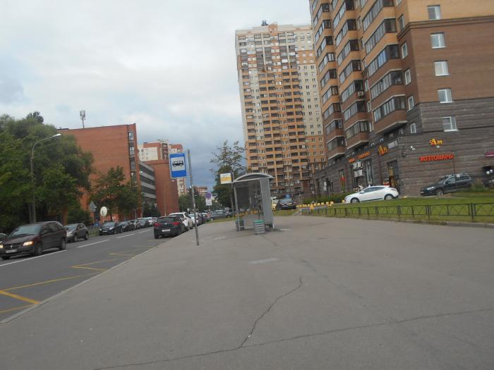 Учительская улица санкт петербург