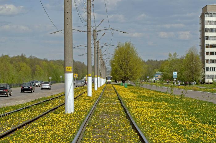 Улицы города нижнекамска