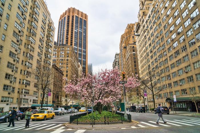 Park Avenue New York City New York