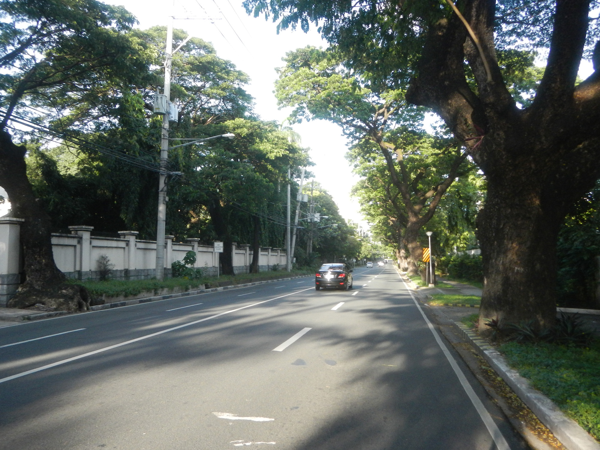 McKinley Road